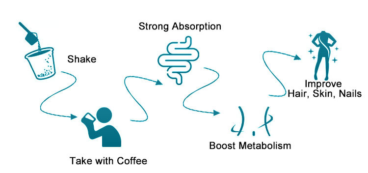 Collagen With Burn - Image 5