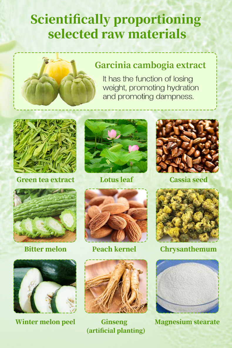 FAT BURNERGAR Garcinia Cambogia - Image 6